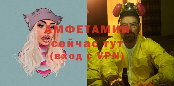 ешки Алексин